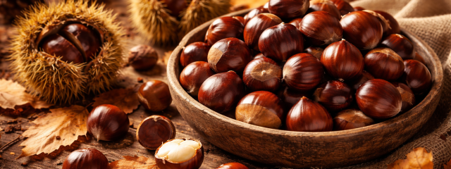 Κάστανα: η πιο “χουχουλιάρικη” γεύση του φθινοπώρου